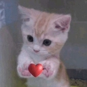 emoji_4 Discord sticker from ꨄꨄꨄ