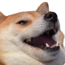 DoggoLaugh