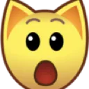 shockedcat