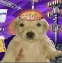 TheExperiments