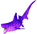 helicoprion