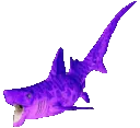 helicoprion