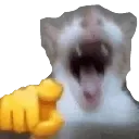 catlaugh