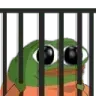 PepeJail