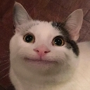 :beluga: