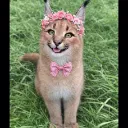 ChatGPT_Image_Mar_29_2026_01_13_