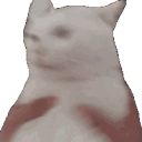cat_shake Discord Emoji | ATGs (All The Gamers)