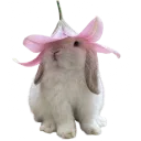 bunnyflowerhat