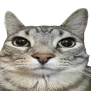 seriously Discord Emoji from ATGs (All The Gamers)