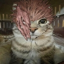 A cat with Ryomen Sukuna's spiky pink hair and facial markings looking directly at the camera.