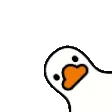 duckspin