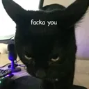 fackayou