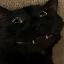 hehehehe