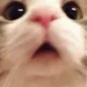 CatWoah
