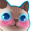 biggles_uwu_meggo