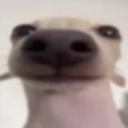 :emoji_4: