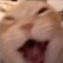 :emoji_5: