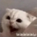 :emoji_6: