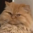 :emoji_9: