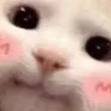 Meow