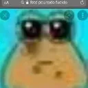 fotodepou