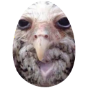 :REACTION_wegg_owl: