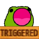 triggeredfroggo
