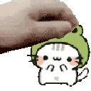 petfroggykitty