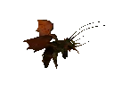seekerspin