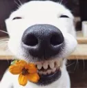 happy
