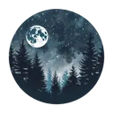 994259nightforestlandscape