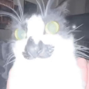 geeked Discord sticker | NECROPOLIS