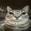 bruh