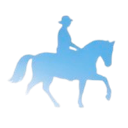 CAUCAS Discord Emoji - 𝗥𝗨𝗦𝗔 |  𝐔𝐍𝐈𝐓𝐄𝐃 𝐒𝐓𝐀𝐓𝐄𝐒 𝑜𝑓 𝐀𝐌𝐄𝐑𝐈𝐂𝐀