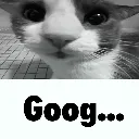 goog goog