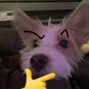 Hank_Thinking