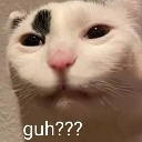 huh Discord Emoji - NECROPOLIS