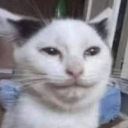 alr custom emote | NECROPOLIS