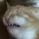 cringe Discord Emoji | NECROPOLIS