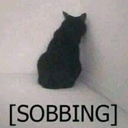 sobbing_catto Discord sticker - ⋆˚𝜗 night owls 𝜚˚⋆