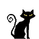 Cattoo animated Discord emote - ⋆˚𝜗 night owls 𝜚˚⋆