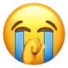 cry_sob
