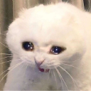 eb2053ca4a4d1e7aaa7cbe24f709c213 Discord sticker from ✩˚｡⋆Apophenia⋆.ೃ✧