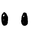 251338scribbleeyes