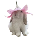BnuyFlower4