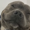 emoji_10 Discord Emoji - TFSNIPERs server