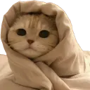cat_blanket