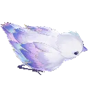 charmonydove