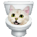 toiletspin