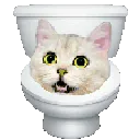 toiletspin